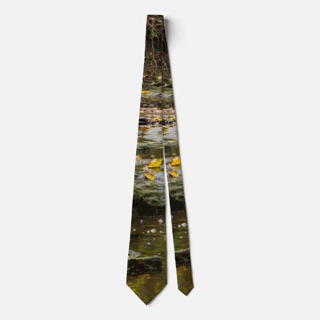 North Wears Creek Landscape Neck Tie (Front)