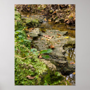 North Wears Creek Rock Bed Poster