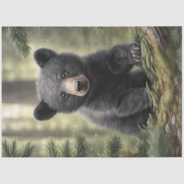 North Woods Little Black Bear Cub Tissue Paper (Front)