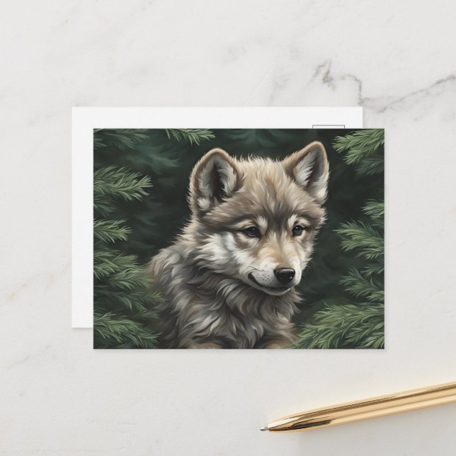 North Woods Wolf Cub Postcard (Front/Back In Situ)