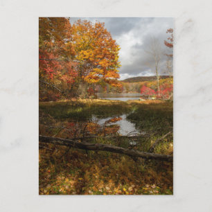 Northeast Autumn Postcard