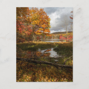 Northeast Autumn Postcard