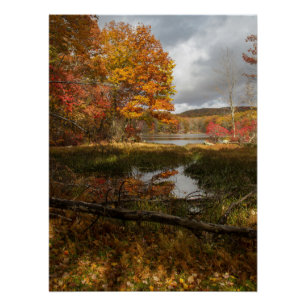 Northeast Autumn Poster