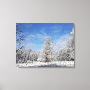 Northeast Winter Scene Canvas Print