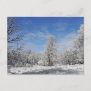 Northeast Winter Scene Postcard