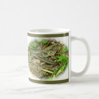 Northeastern Garter Snake Mug