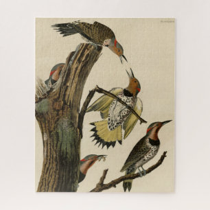 Norther Flicker from Audubon's Birds of America  Jigsaw Puzzle