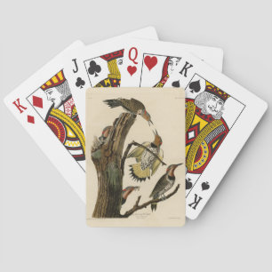 Norther Flicker from Audubon's Birds of America Playing Cards