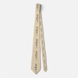Norther Parula from Audubon's Birds of America Tie