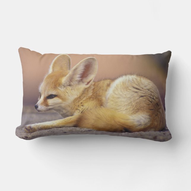 Northern Africa. Fennec Fennecus zerda) Lumbar Cushion (Front)