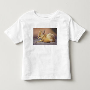 Northern Africa. Fennec Fennecus zerda) Toddler T-Shirt