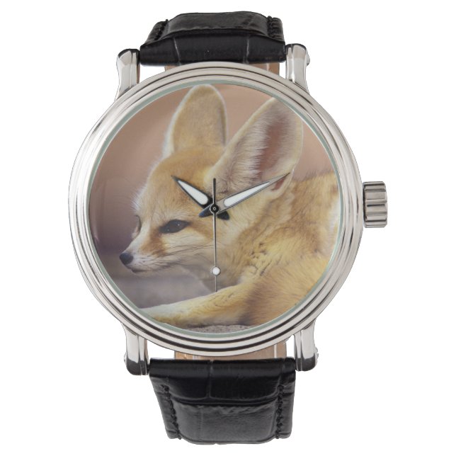 Northern Africa. Fennec Fennecus zerda) Watch (Front)