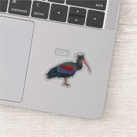 Northern bald ibis bird cartoon illustration