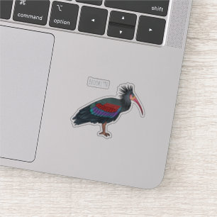 Northern bald ibis bird cartoon illustration