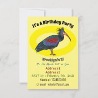 Northern bald ibis bird cartoon illustration