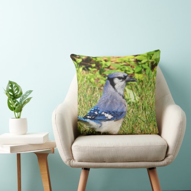 Northern Blue Jay Cushion (Chair)