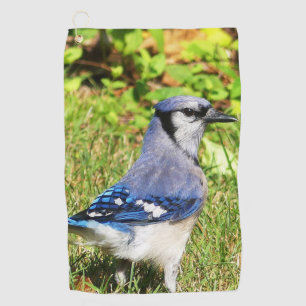 Northern Blue Jay Golf Towel