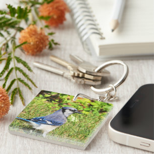 Northern Blue Jay Key Ring