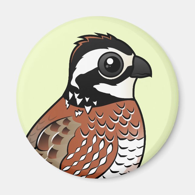 Northern Bobwhite Magnet (Front)