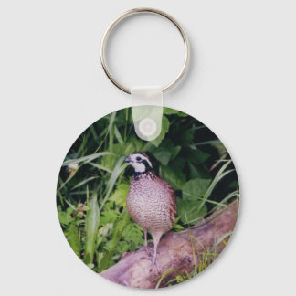Northern Bobwhite Quail Key Ring