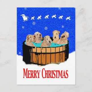 NORTHERN CALIFORNIA MERRY CHRISTMAS HOLIDAY POSTCARD