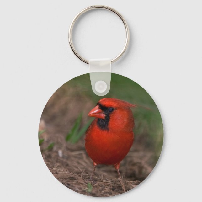 Northern Cardinal 2 Key Ring (Front)