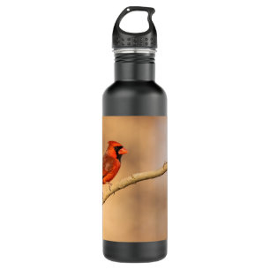 Northern Cardinal  710 Ml Water Bottle