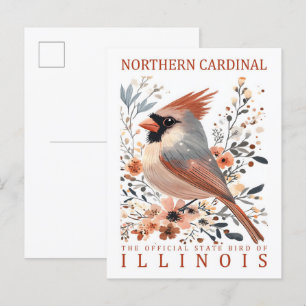 Northern Cardinal Bird of Illinois USA Travel Postcard