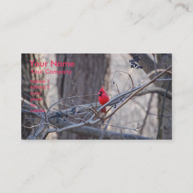 Northern Cardinal- business card template (Front)