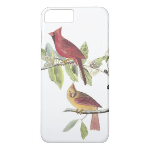 Northern Cardinal by Audubon Case-Mate iPhone Case