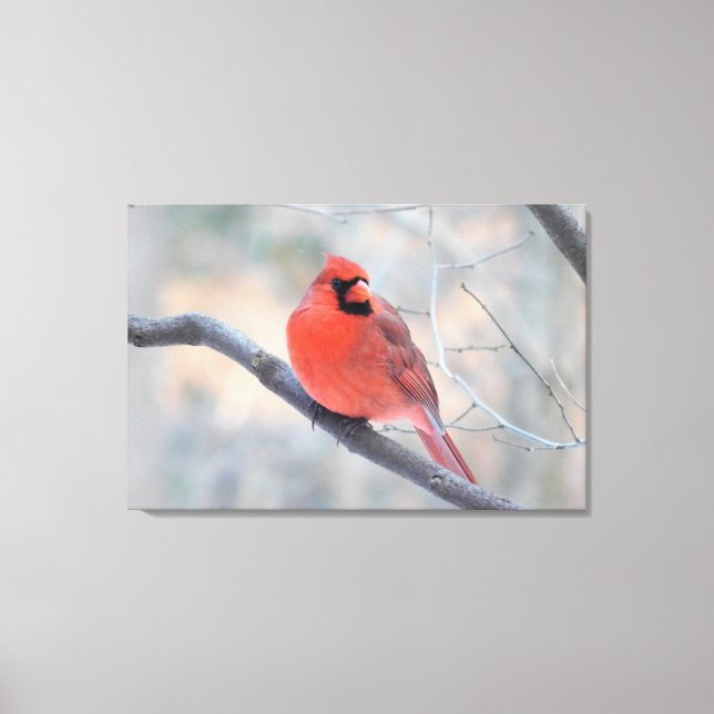Northern Cardinal (Cardinal Creek) Wrapped Canvas (Front)