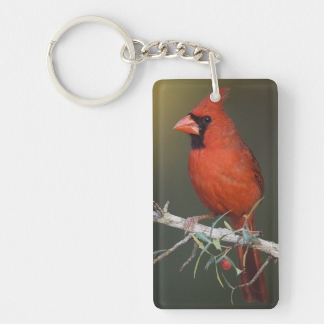 Northern Cardinal, Cardinalis cardinalis, male Key Ring (Front)