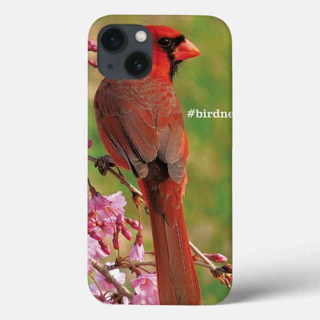 Northern Cardinal Case-Mate iPhone Case (Back)