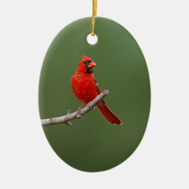Northern Cardinal Ceramic Tree Decoration (Front)