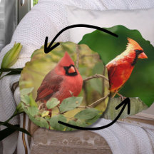 Northern Cardinal Double-Sided Nature Photography