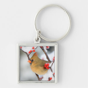 Northern Cardinal female on Common Winterberry Key Ring