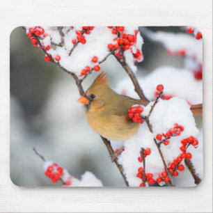 Northern Cardinal female on Common Winterberry Mouse Pad