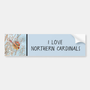 Northern Cardinal Flying - Original Photograph Bumper Sticker