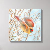 Northern Cardinal Flying - Original Photograph