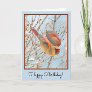 Northern Cardinal Flying - Original Photograph Card
