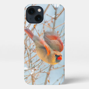 Northern Cardinal Flying - Original Photograph iPhone 13 Case