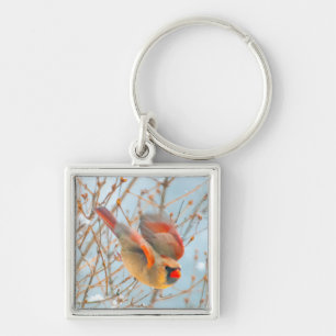 Northern Cardinal Flying - Original Photograph Key Ring
