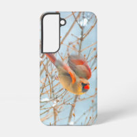 Northern Cardinal Flying - Original Photograph