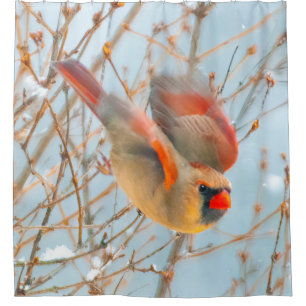 Northern Cardinal Flying - Original Photograph Shower Curtain