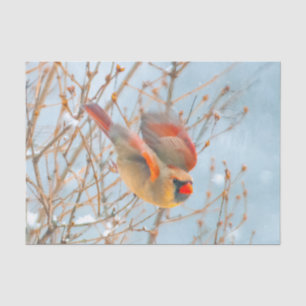 Northern Cardinal Flying - Original Photograph Tissue Paper