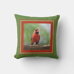 Northern Cardinal, framed in red & green Cushion