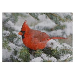 Northern Cardinal in Balsam fir tree in winter Cutting Board