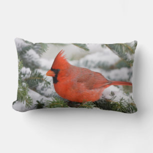 Northern Cardinal in Balsam fir tree in winter Lumbar Cushion