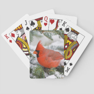 Northern Cardinal in Balsam fir tree in winter Playing Cards