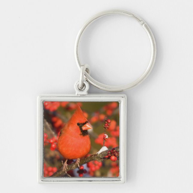 Northern Cardinal in Common Winterberry Key Ring (Front)